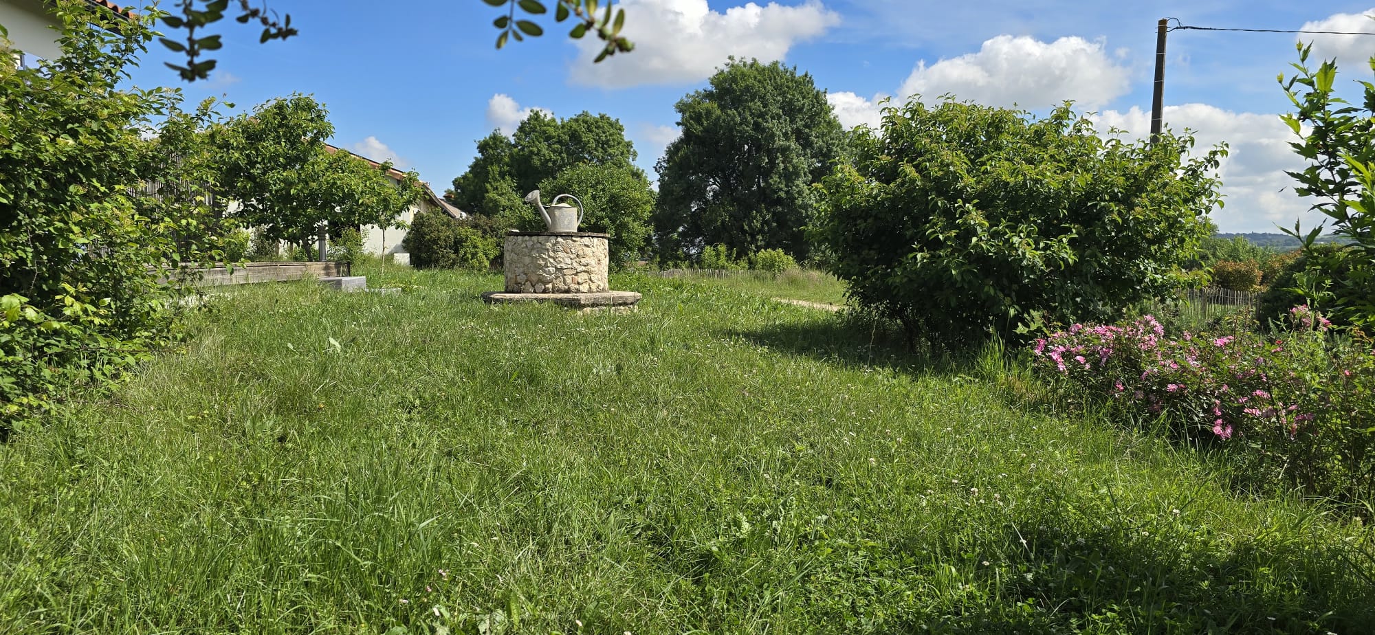 L'environnement