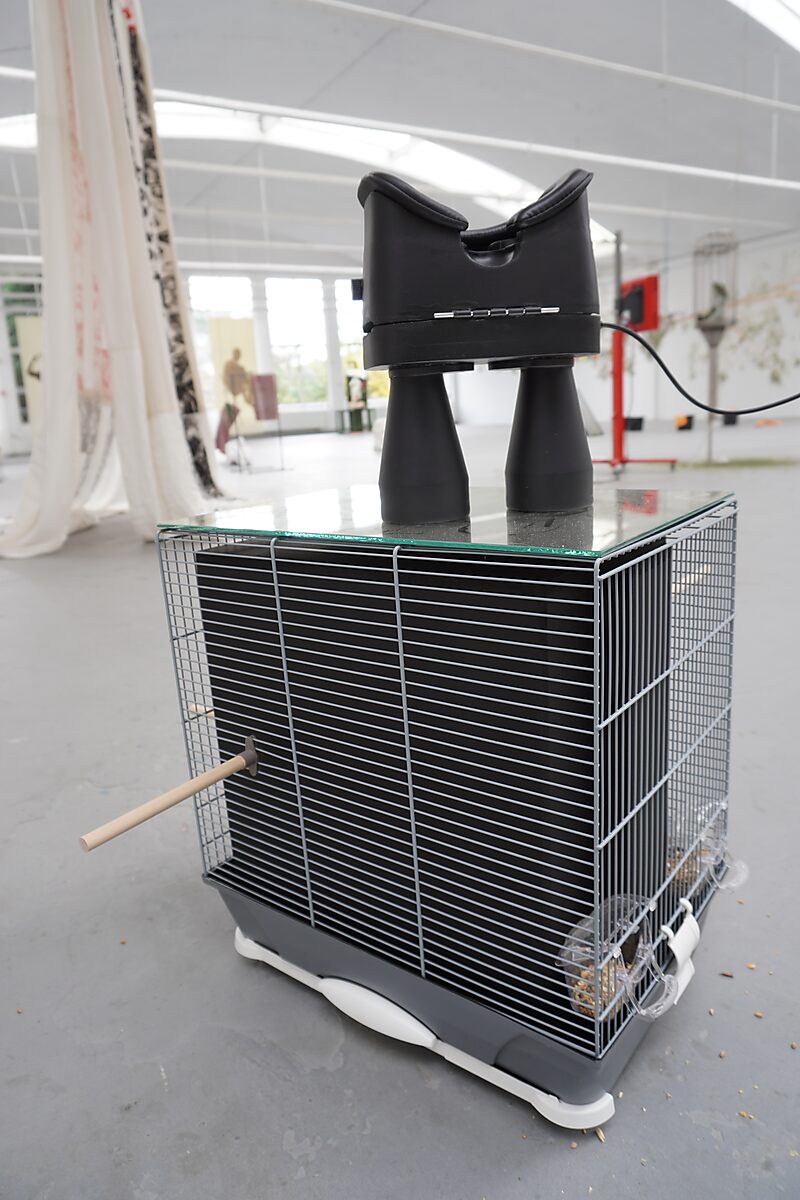 The Ornithologist — detail of a black viewing device combining binoculars and a VR headset, placed on a birdcage.