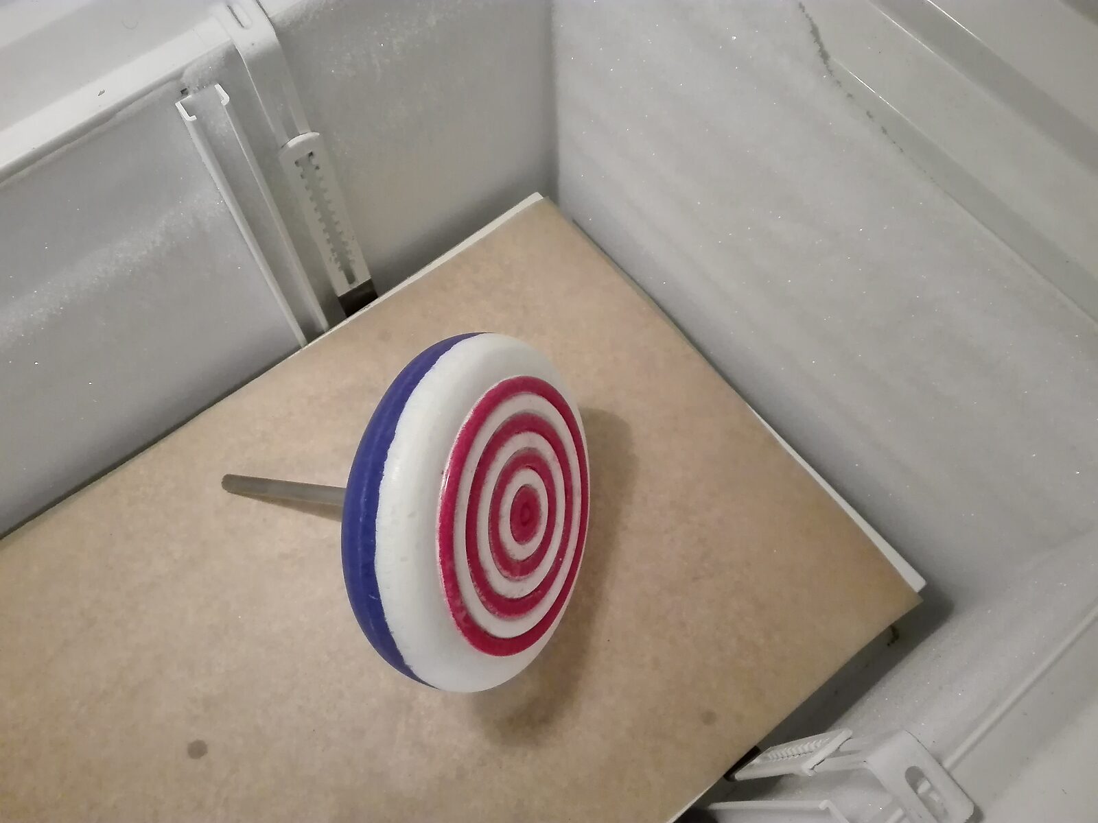 Melting Targets — a frozen ice target with concentric red rings lies in a freezer on a board.