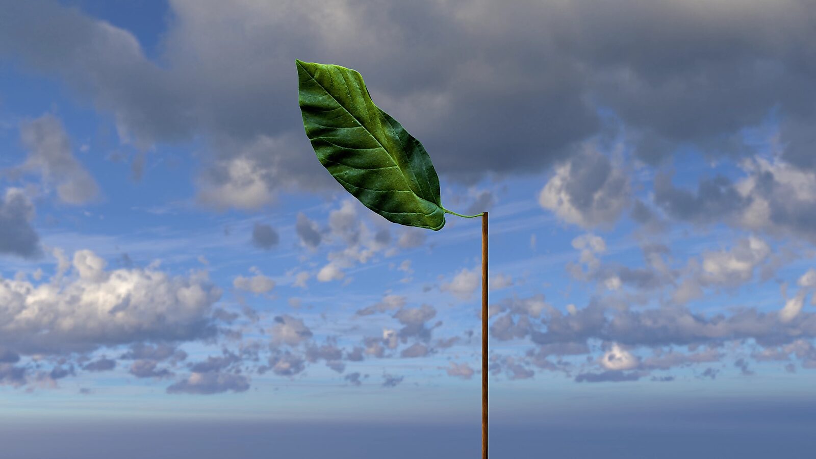 Virtual Transformation — Farewell Nature: video still from a 3D animation; the leaf briefly regains its form yet remains detached from any context, floating as an isolated object in the air.