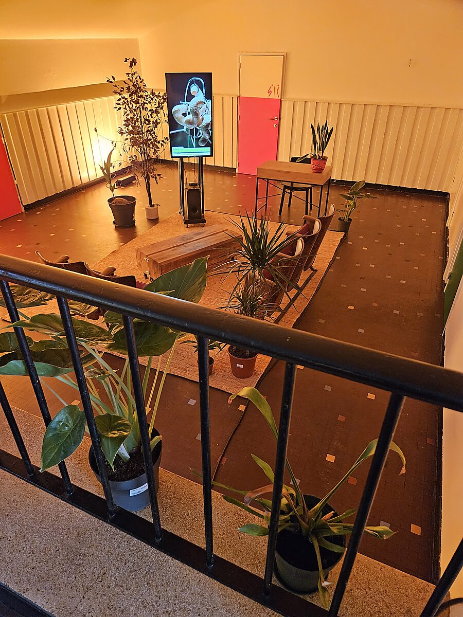 'Beyond the Black Box' Exhibition view with seating area, wooden tables, carpet and plants; video screen on a stand in the space, Monty, Antwerpen, 2024.