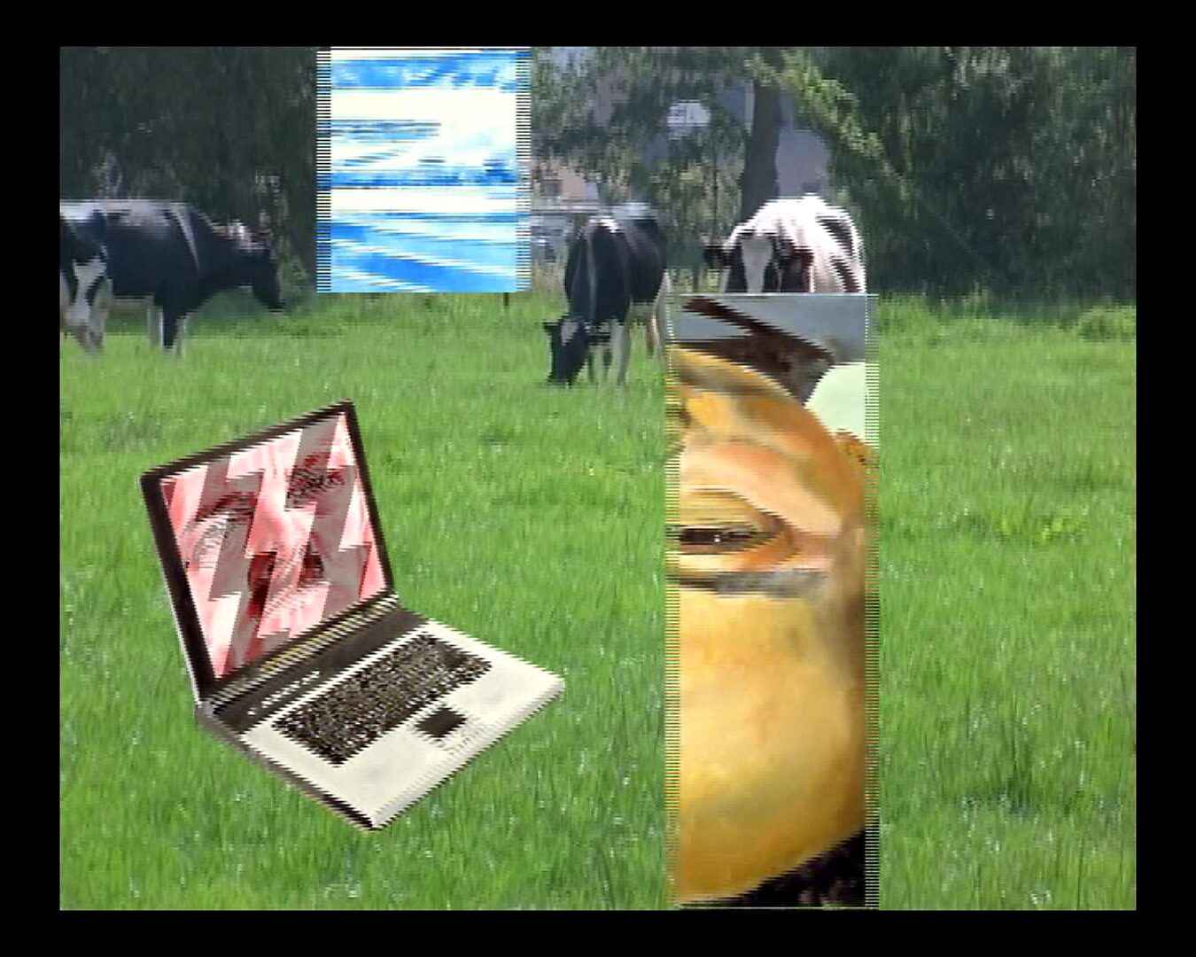 Living Canvas — Scanning Cows for the Next Revolution — video still in which a vertical strip of the painting cuts through the image while the laptop and cows remain visible in the grass.