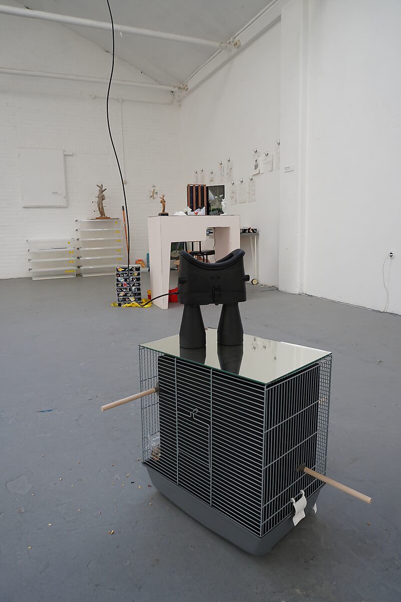 The Ornithologist — installation showing a black viewing device on a mirrored surface above a birdcage in a studio space.