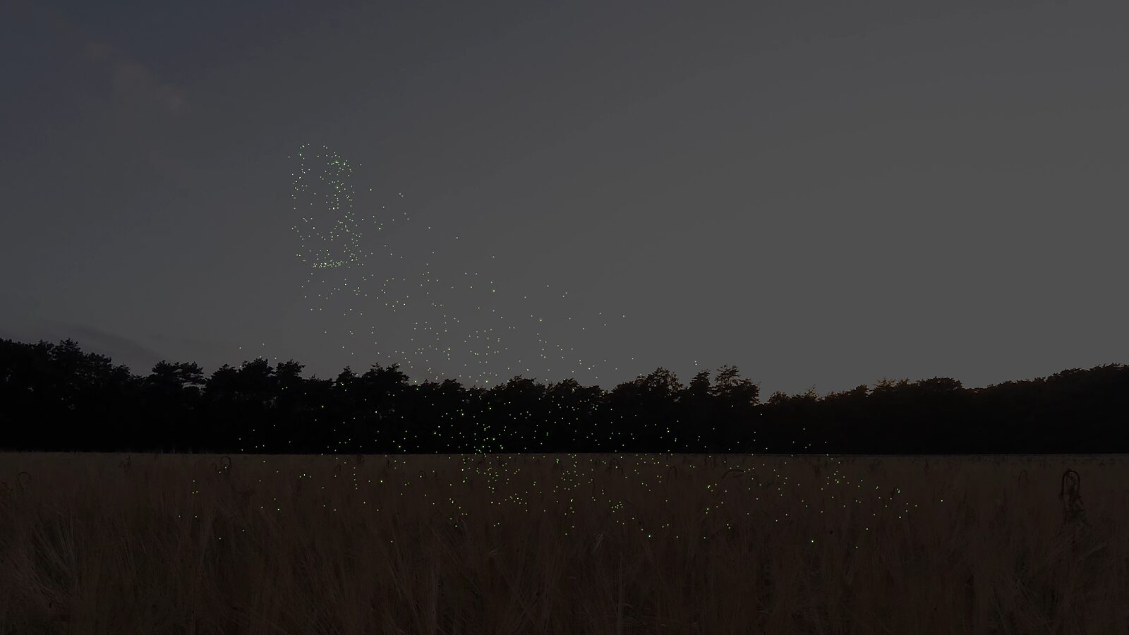 Virtual Transformation — Fireflies in Formation: video still from a 3D animation; small glowing dots hover above a dark field, loosely forming the contour of a reclining human figure against the evening sky.
