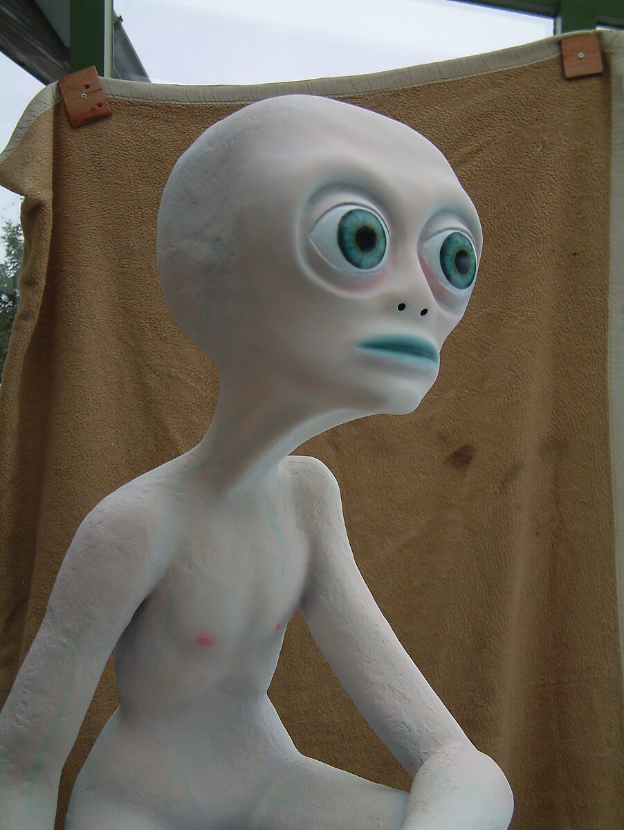 Alien Care — detail: head and upper body of a pale alien figure with large blue-green eyes, small mouth and smooth skin; brown cloth in the background.