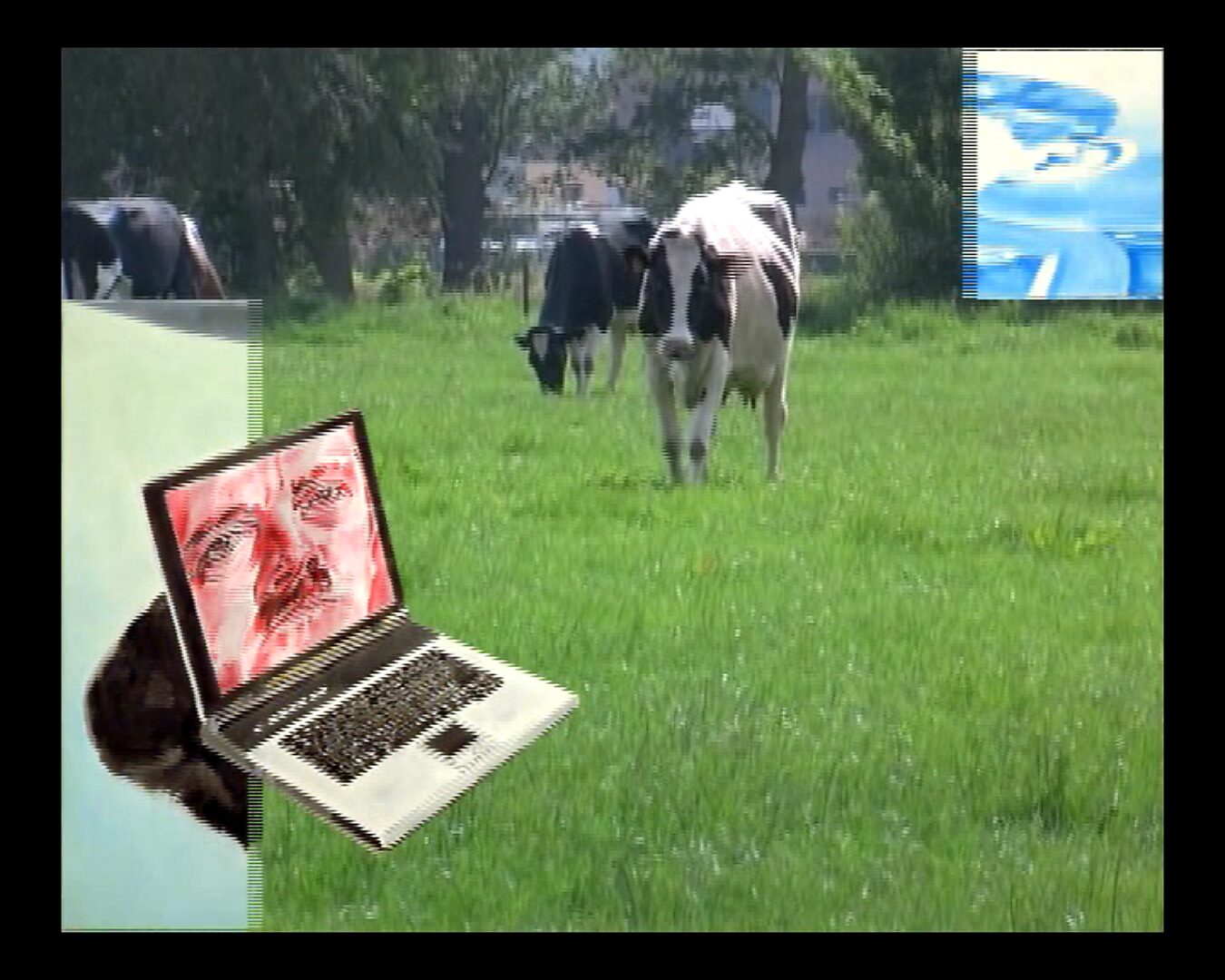Levend canvas — Koeien scannen voor de volgende revolutie — videostill waarin fragmenten van het schilderij over het landschap schuiven terwijl de laptop in het gras blijft staan en koeien op de achtergrond bewegen.