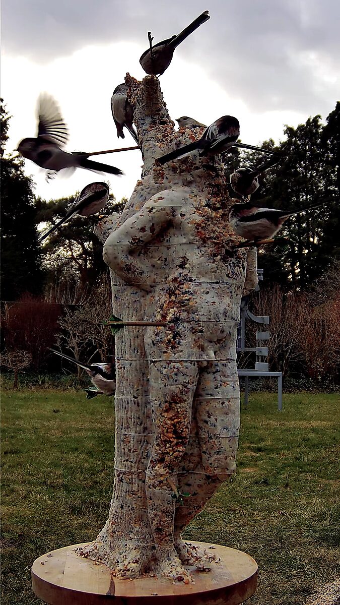 St. Sebastian with Birds No. 2 — video still in which several small birds fly around and feed from the sculpture of St Sebastian covered with birdseed.
