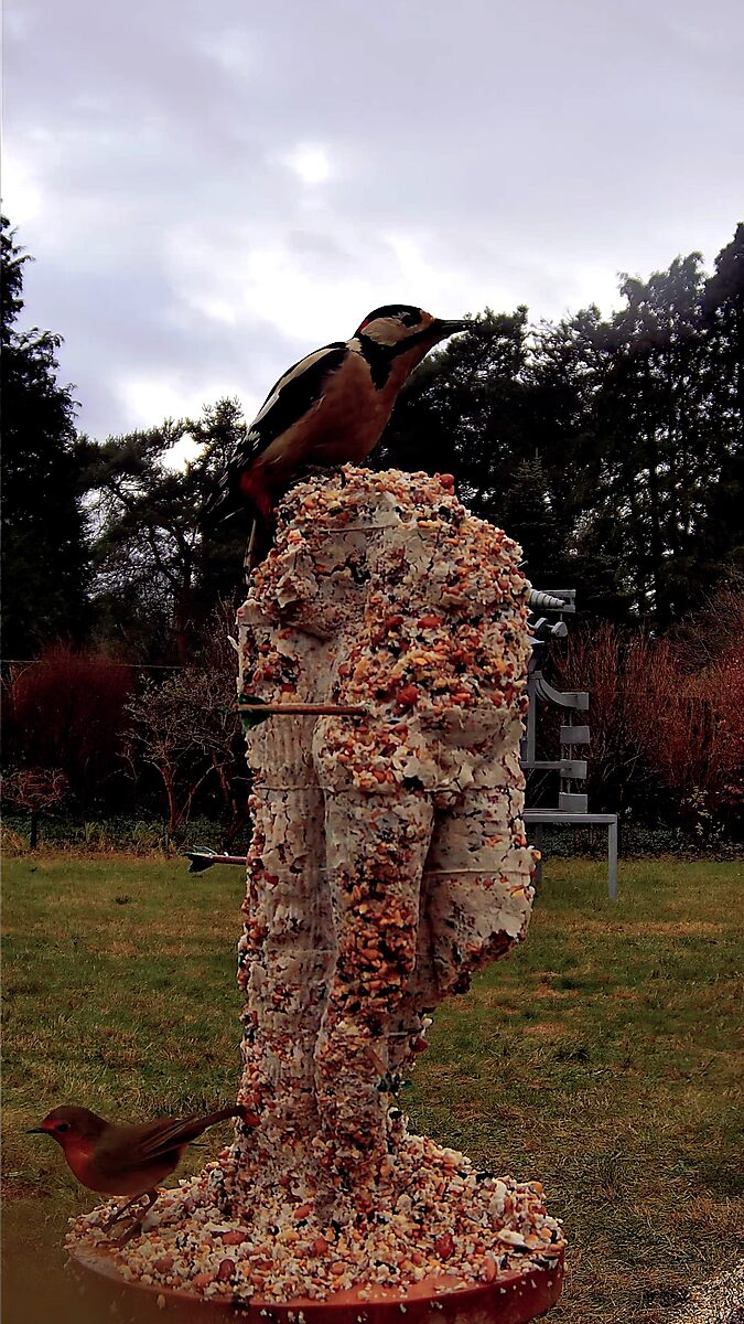 St. Sebastian with Birds No. 2 — video still in which a woodpecker sits on top of the sculpture of St Sebastian covered with birdseed while smaller birds search for food below.