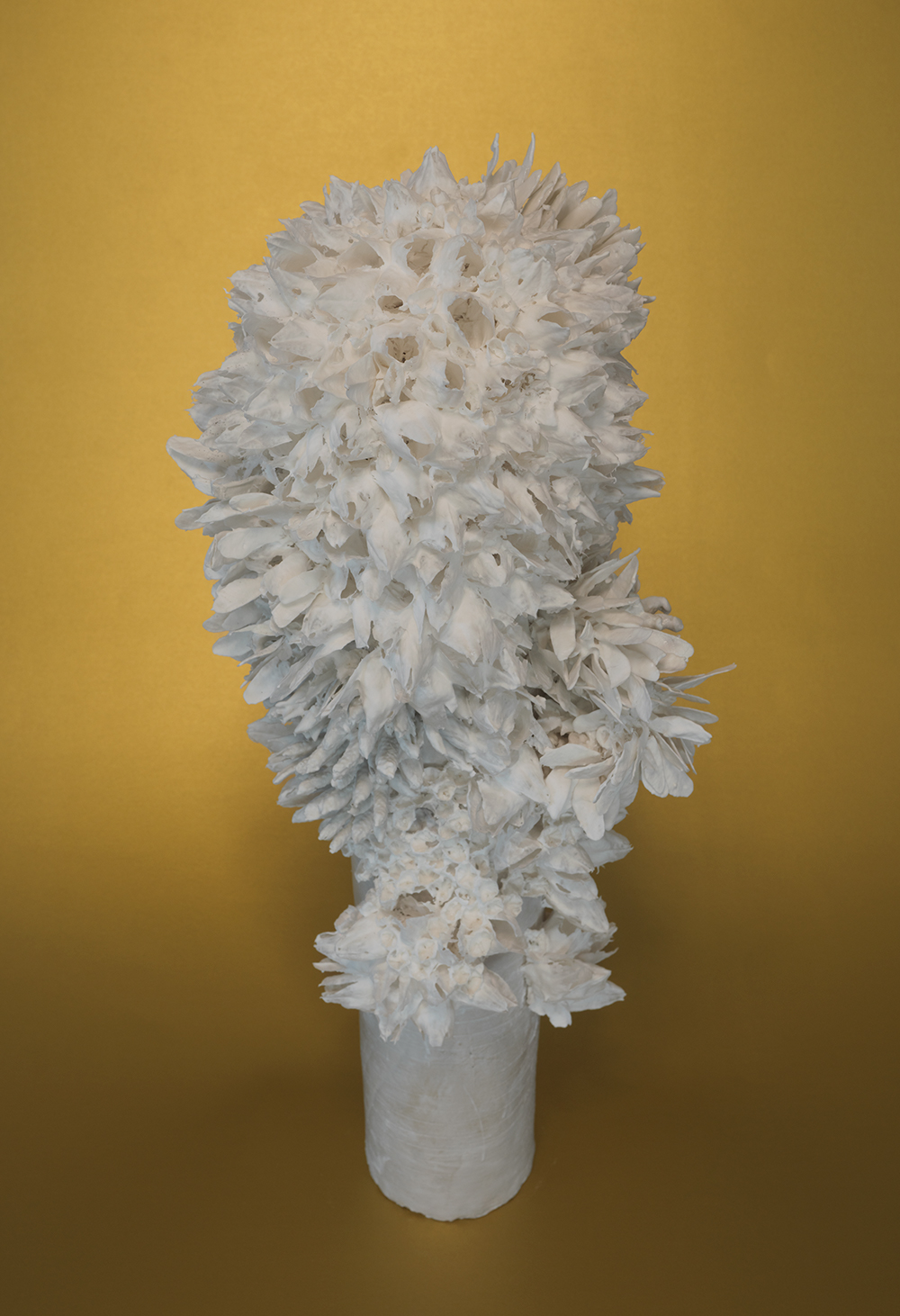 Columna Alba | Porzellan