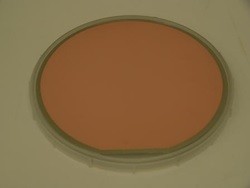 through hole(embedded)Immediately after plating(BeforeCMP)