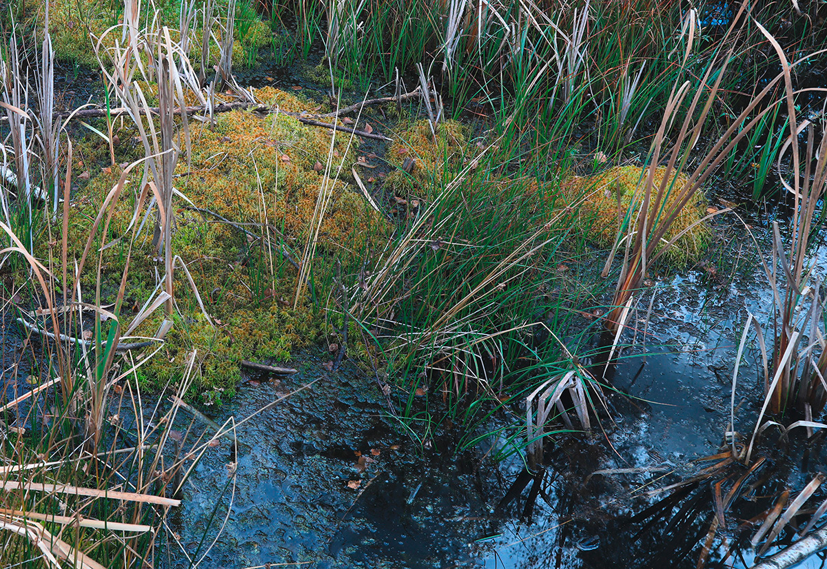 Umweltbundesamt: Aktualisierung des Österreichischen Moorschutzkatalogs