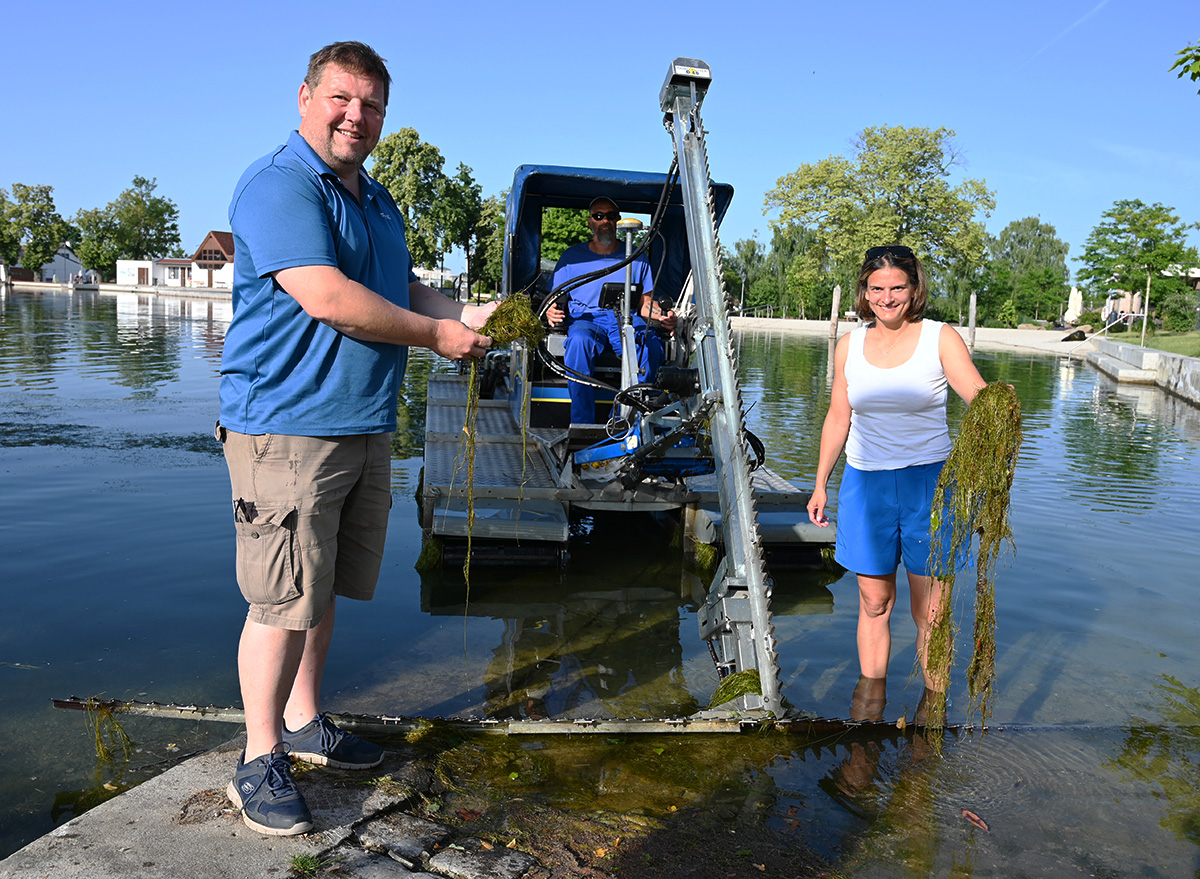 Horn: Algenmäher auf dem Stadtsee im Einsatz