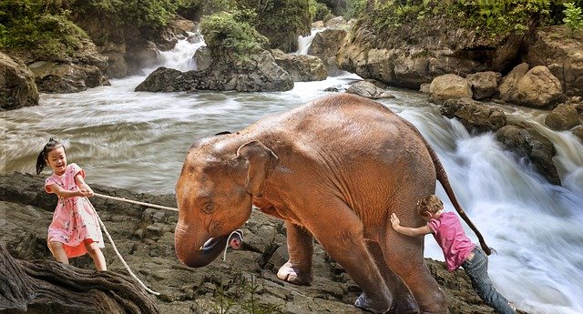 成年後見制度は、十分にご理解してから、ご利用を判断してほしいです