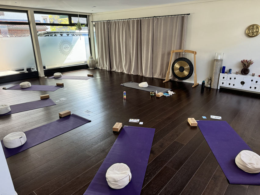 Vinyasa Yoga, Schwangerschaftsyoga und Ernährungsberatung und Ernährungstherapie für Schwangere, Raum Oberer Zürichsee, Rapperswil und Zürich
