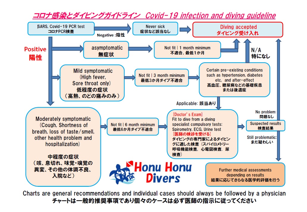 コロナとダイビングのガイドライン COVID-19 and diving guideline