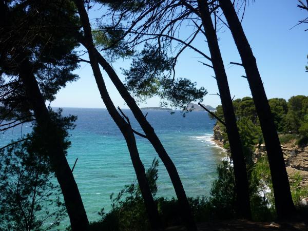 Les pins surplombent la crique, au loin l'île verte