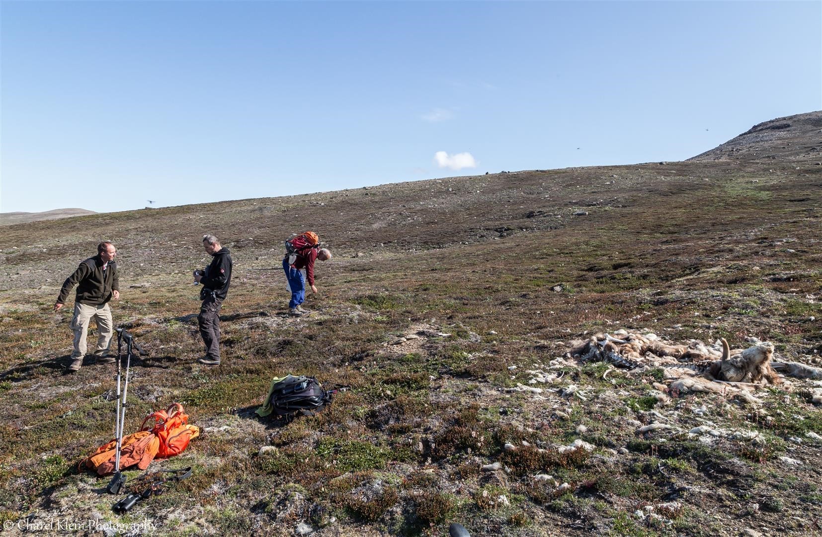 Mountain walk