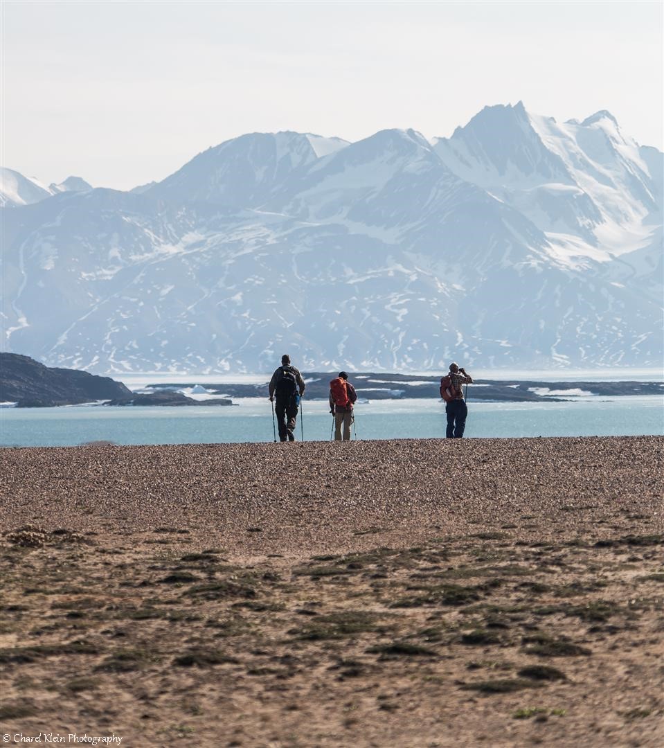 Tundra walk