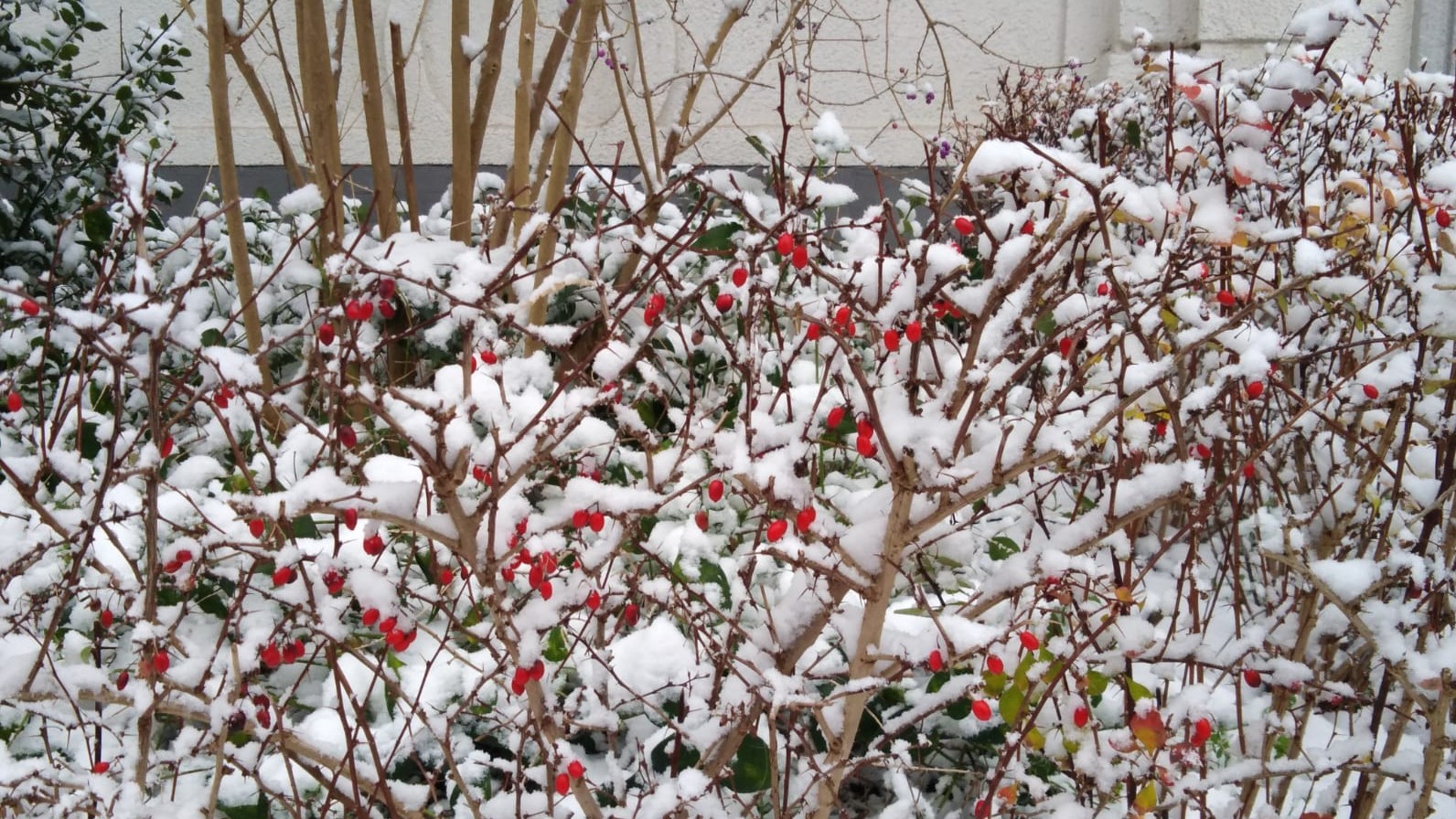 Inverno - Tra i mondi