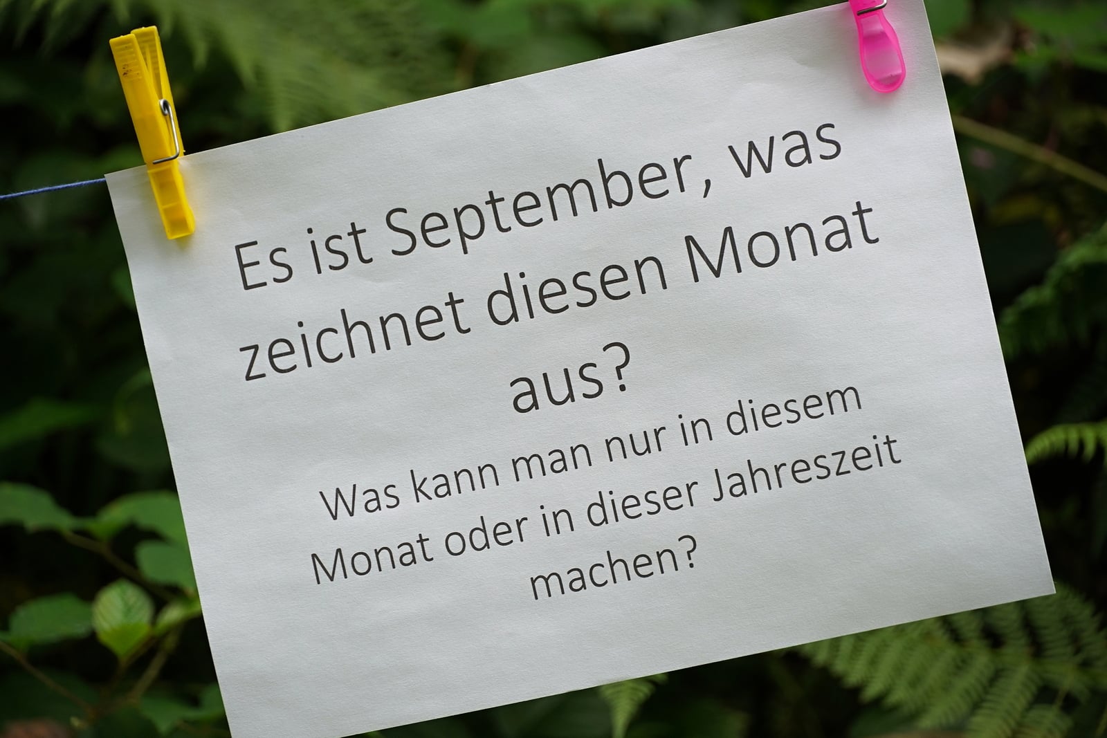 Achtsamkeitsebene