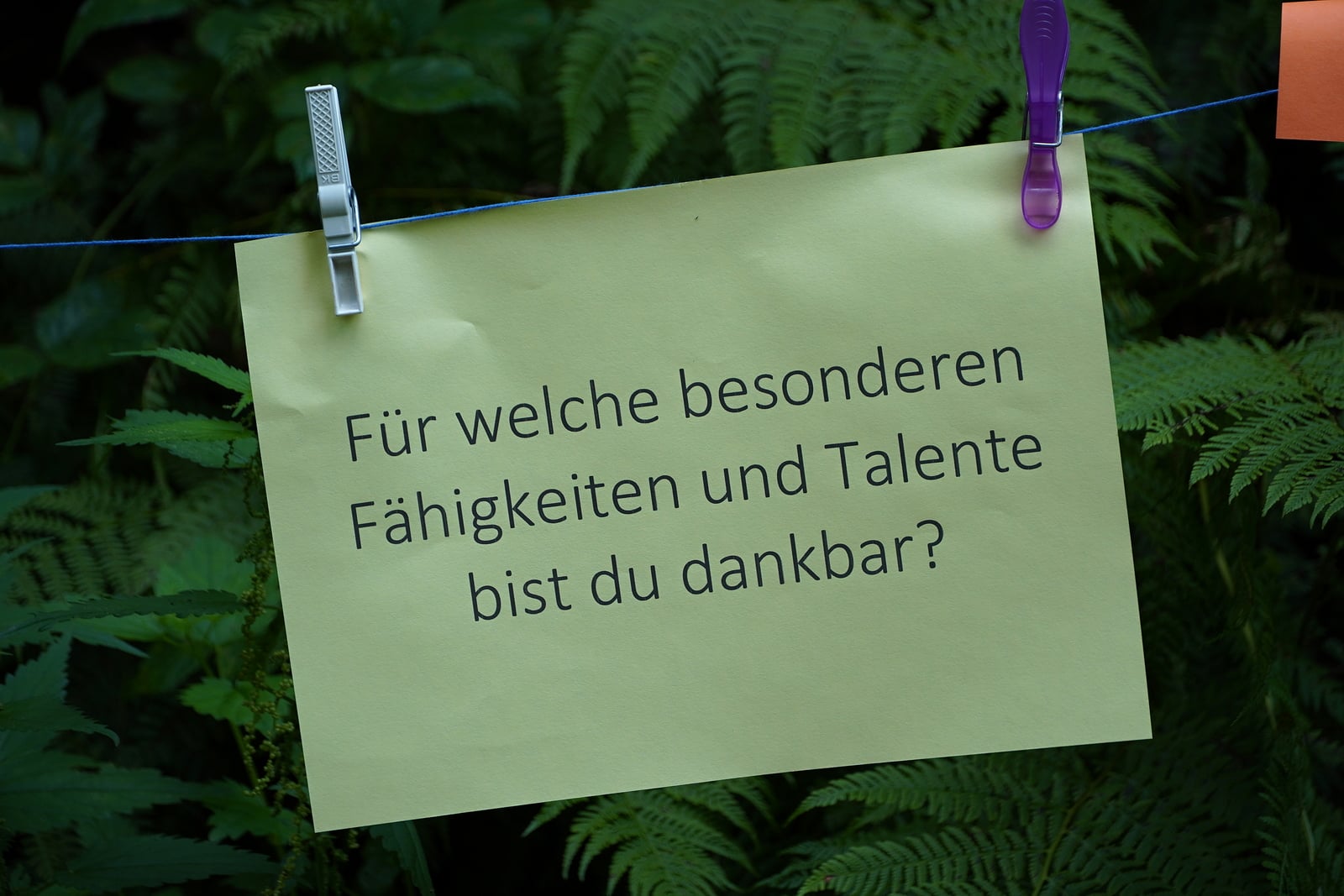 Achtsamkeitsebene