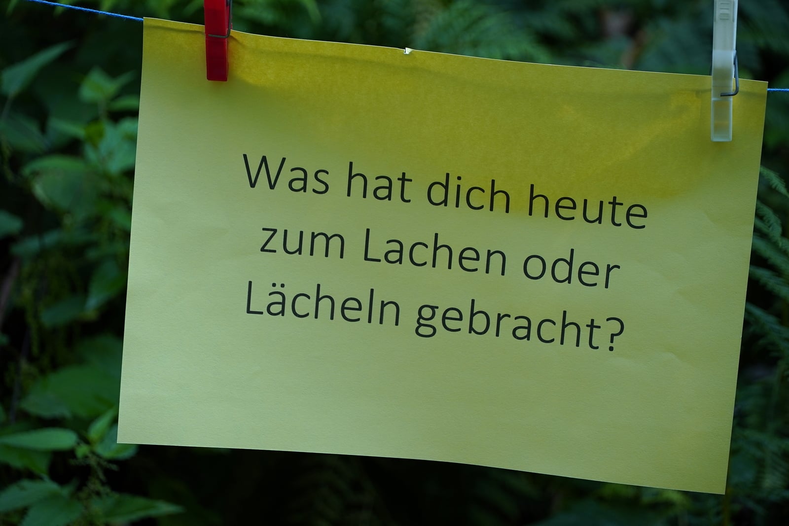 Achtsamkeitsebene
