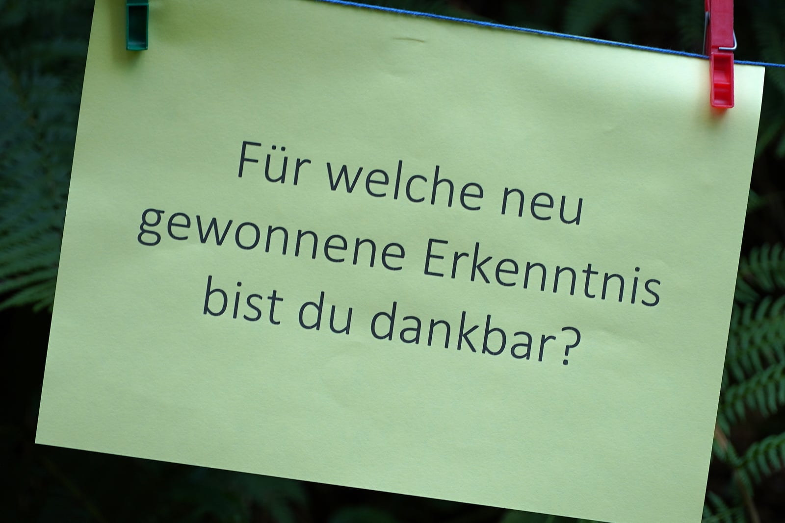 Achtsamkeitsebene