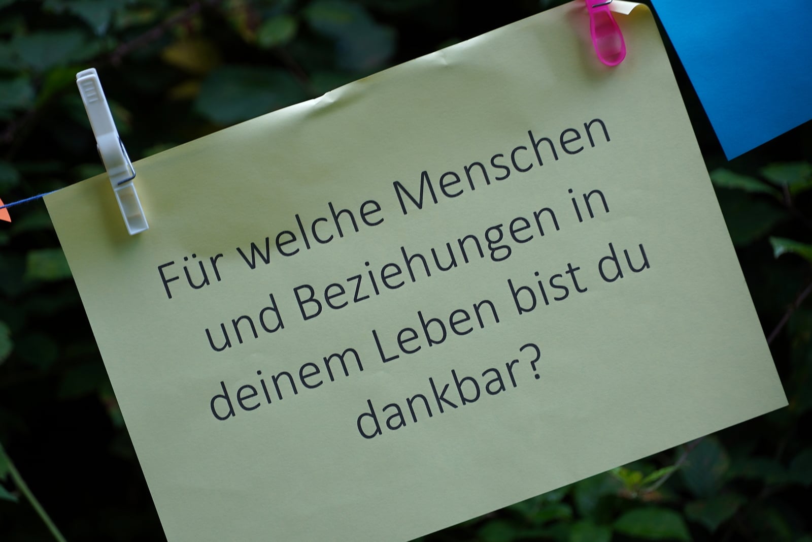 Achtsamkeitsebene