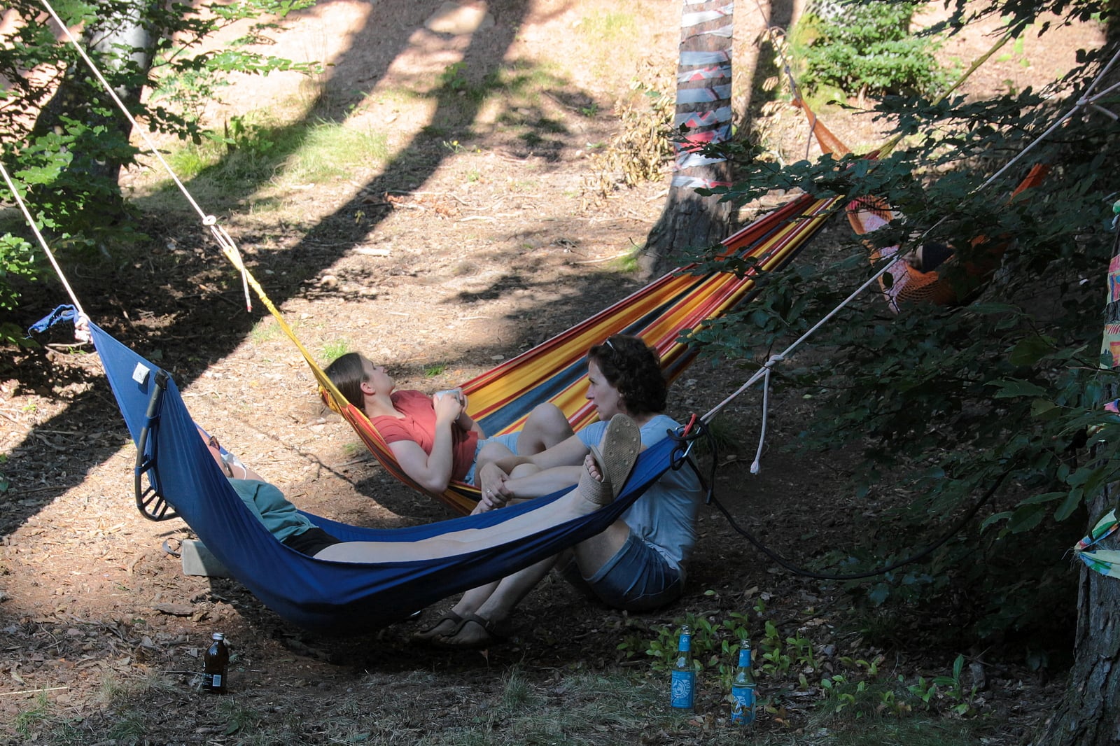 Hängemattenwald