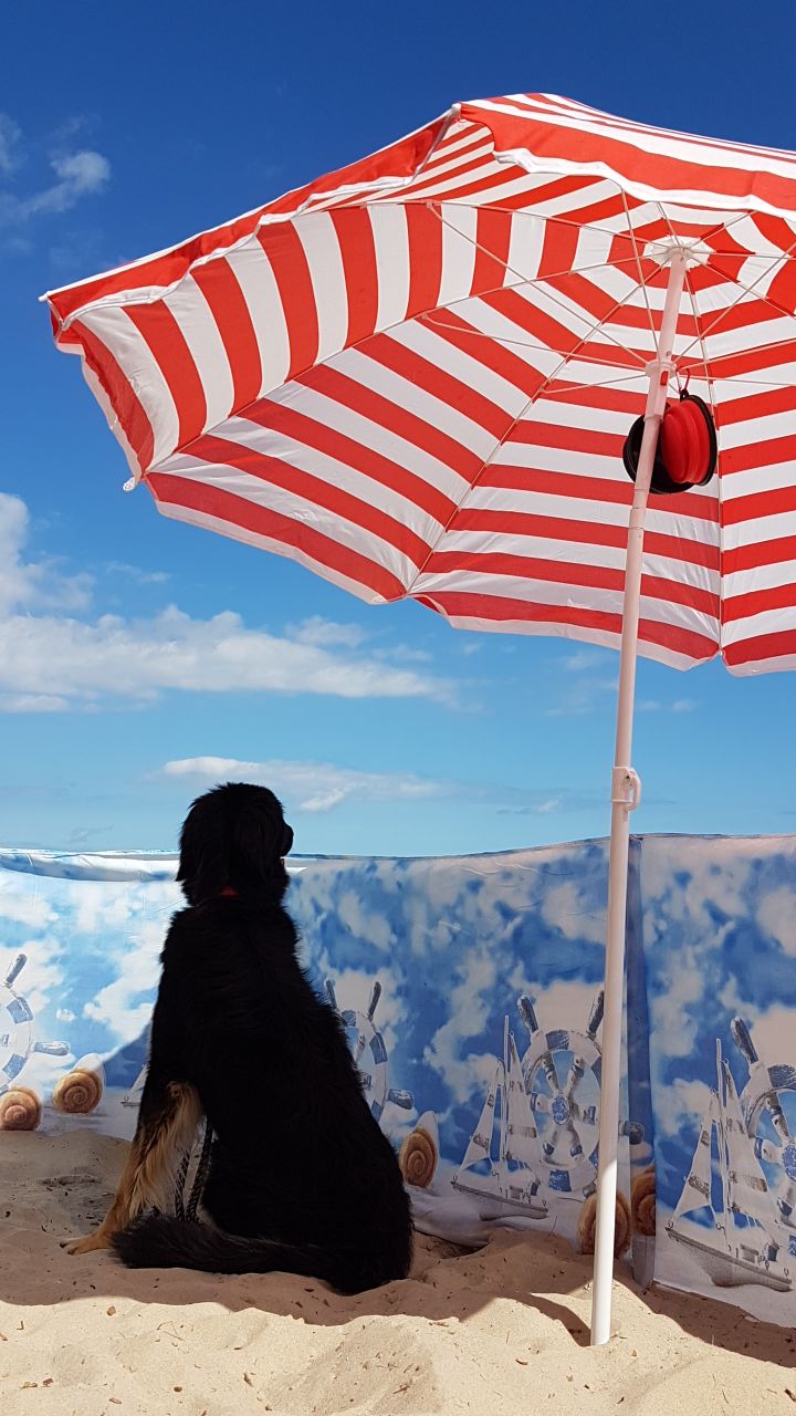 Emy genießt Sommer, Sonne, Strand und Meer