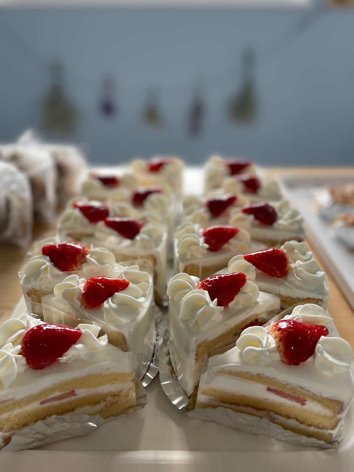 COCOページ 楽天市場】【小サイズが加わりました】Coco Lapine Design ポスター