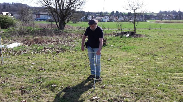 Wolfgang Weber gibt Tipps zum Zaunbau. Foto: Isa Rössner