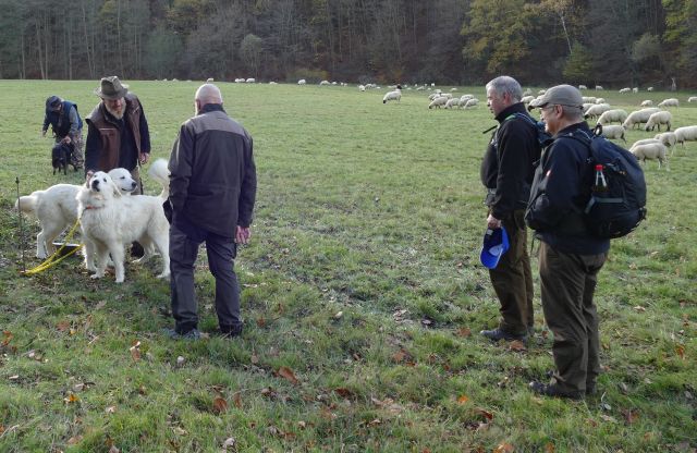 Herr Lotz erklärt die Haltung der Herdenschutzhunde. Foto: I.Till