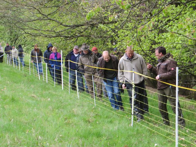 Der aufgebaute Zaun wird gemeinsam abgegangen und begutachtet. Bild: Wolfgang Weber