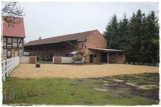Paddock vor 4 Jahren