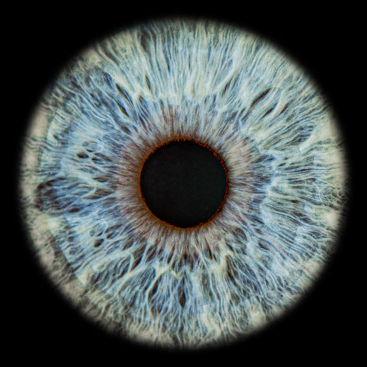 Iris Fotografie, Foto von einem Blauen Auge 