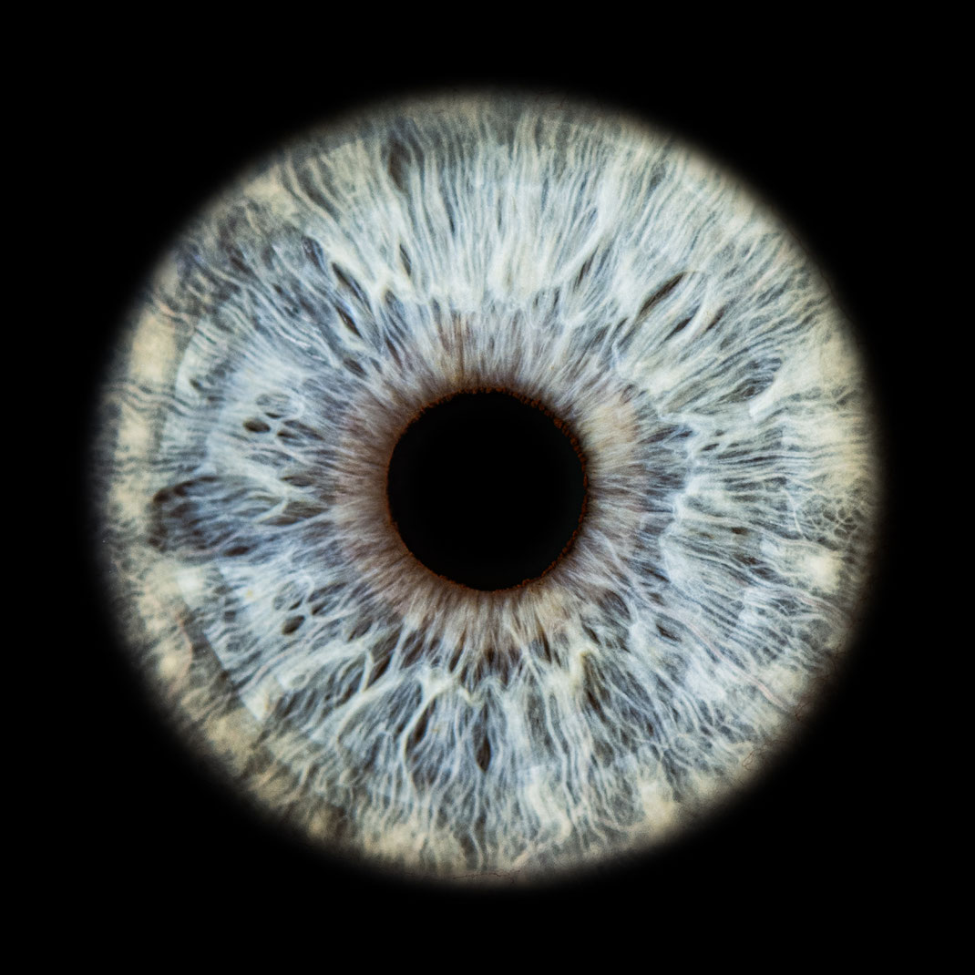ein Macro Bild von einem Blau Grauen Augen In Berlin Moabit aufgenommen