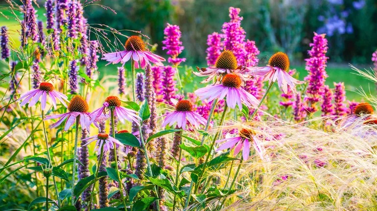 Dans quel état est ton jardin intérieur ?