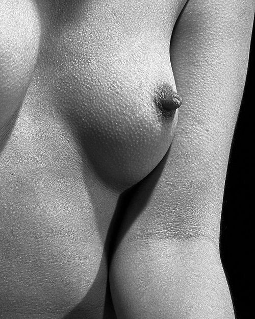 los pezones duros no mienten | masaje erotico para mujeres en milan | velvethands milan