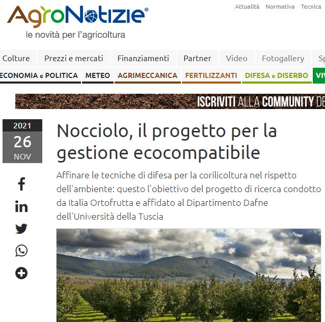 Comunicati stampa