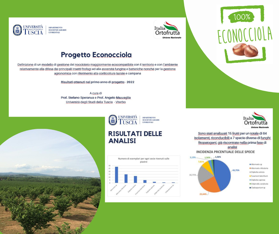 Risultati ottenuti nel primo anno di progetto - 2022