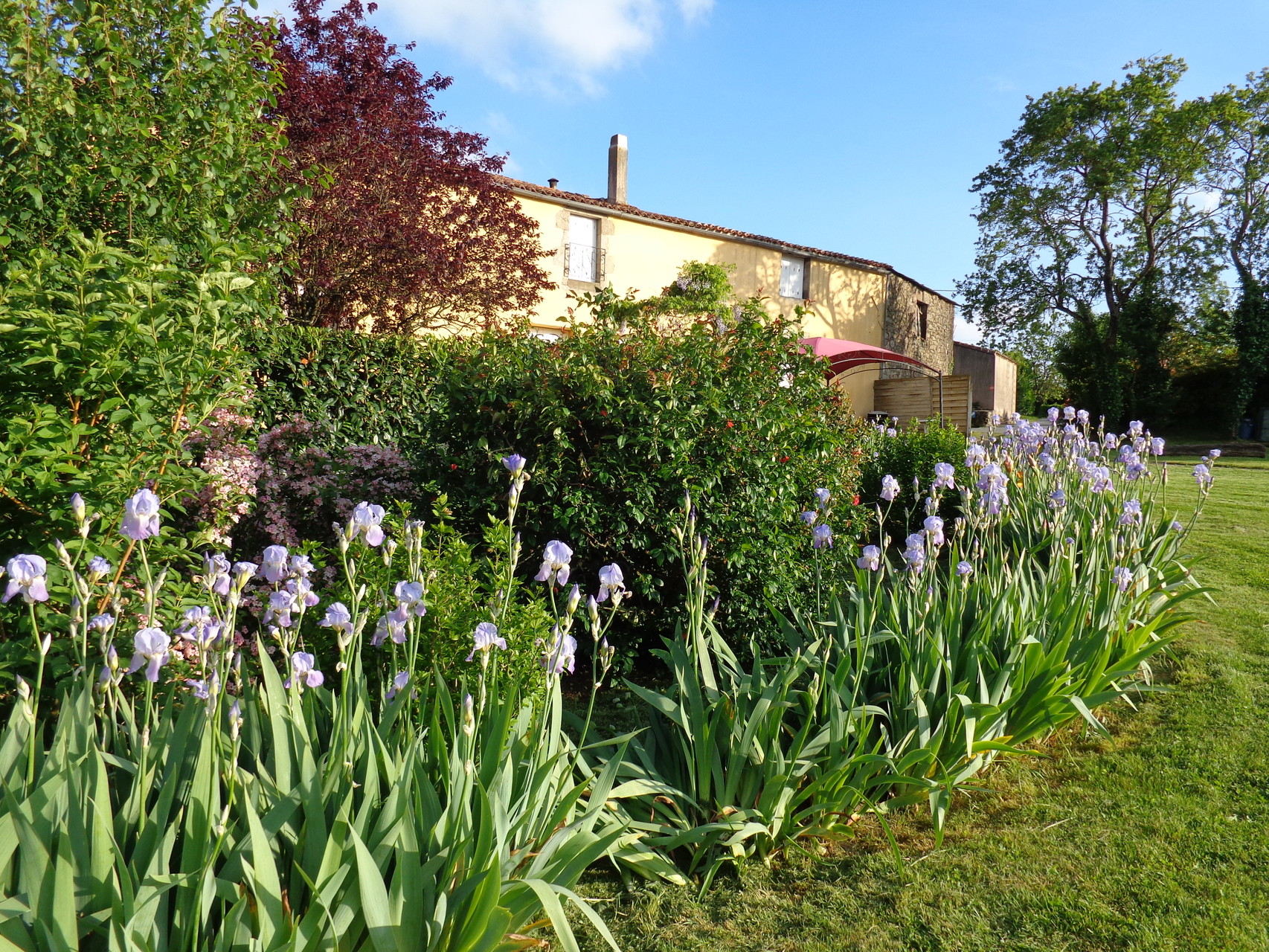 Jardin