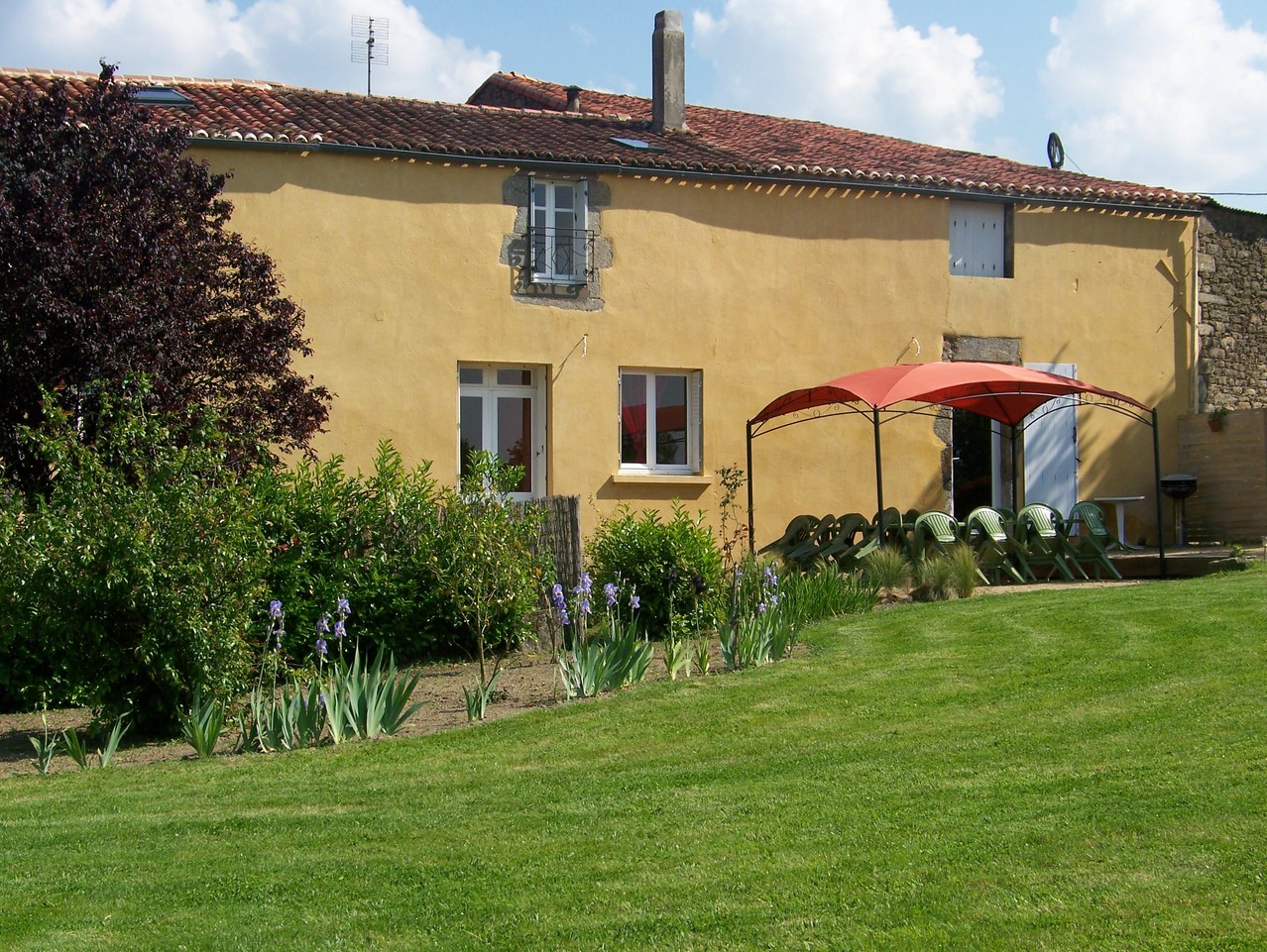 Jardin
