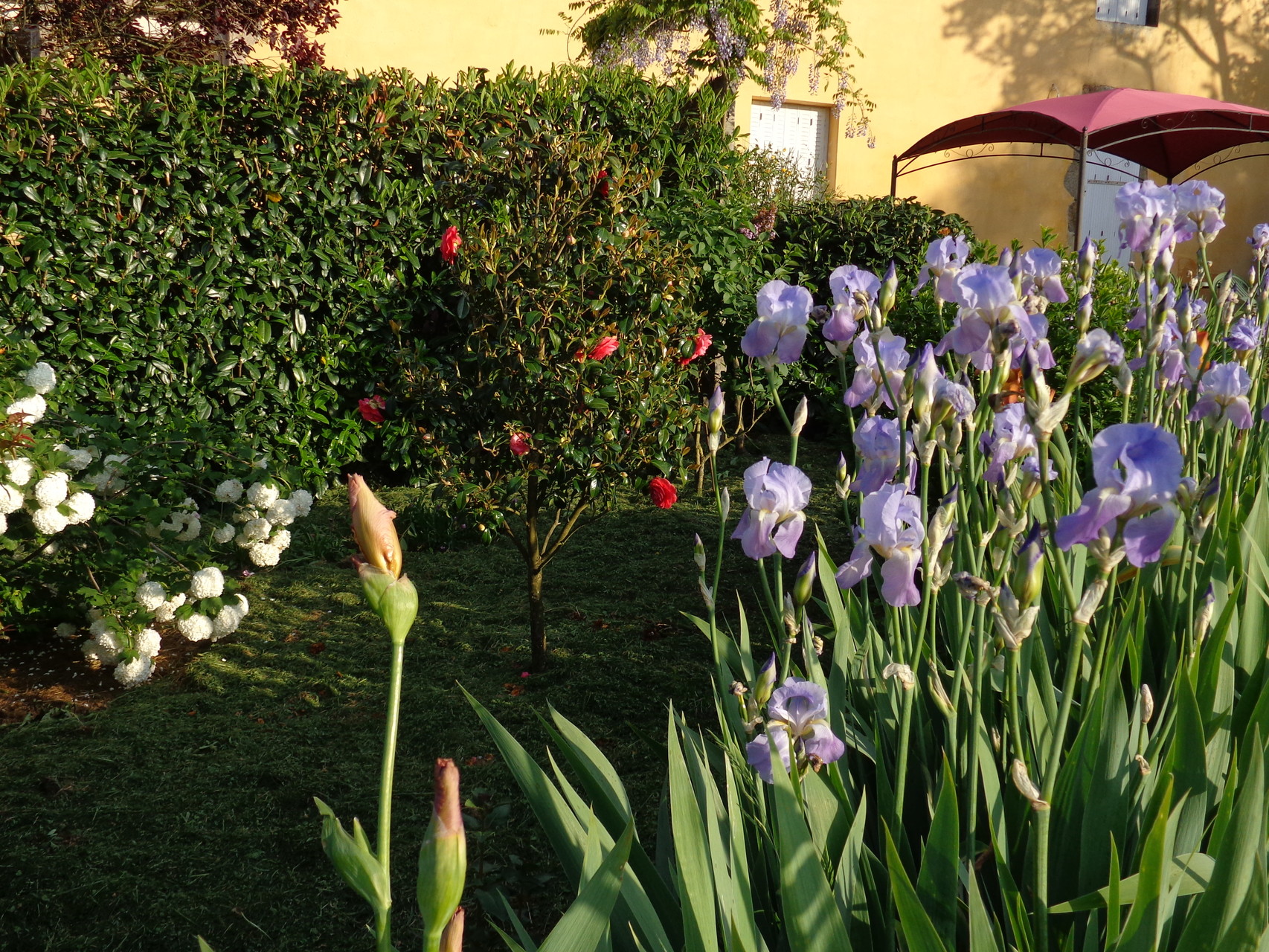 Le jardin