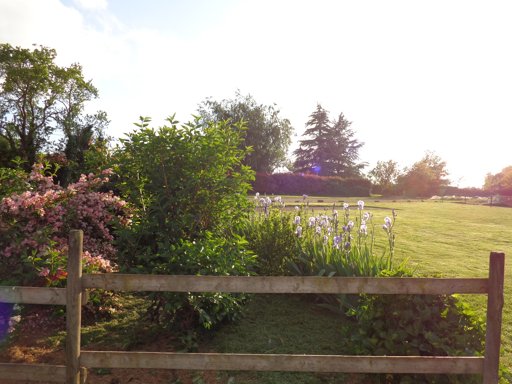 Jardin