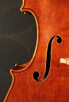 Cello, Günter Lobe, Bubenreuth