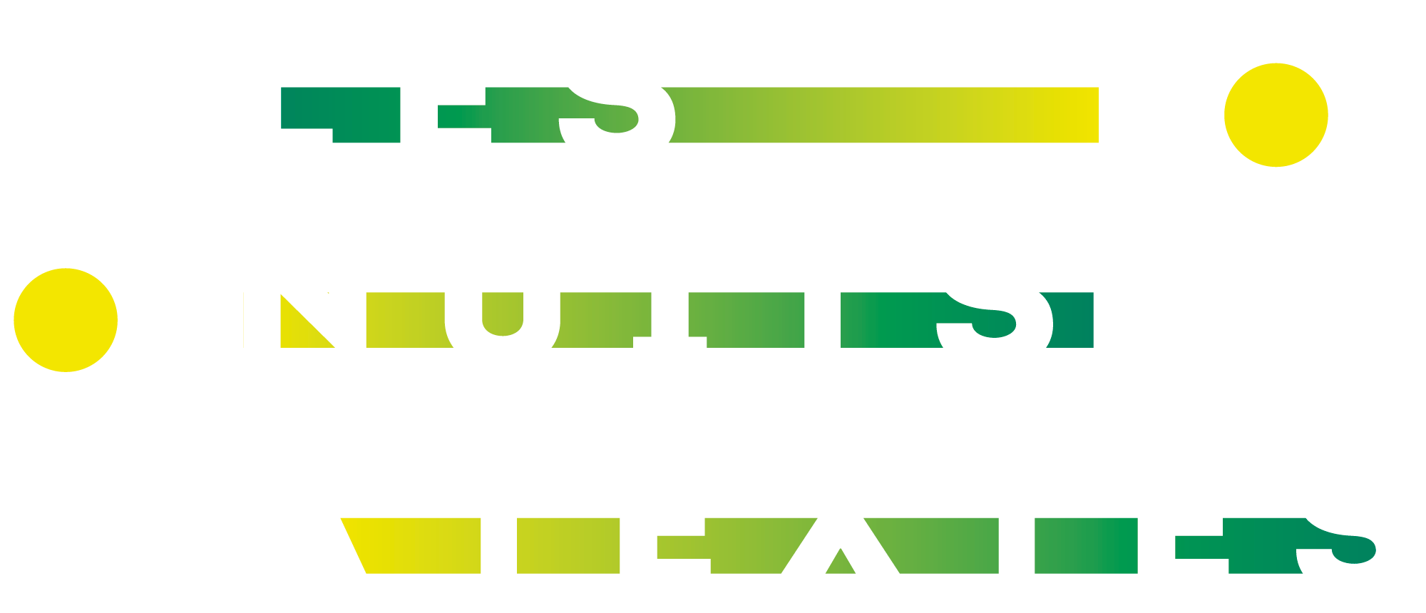 Nuits à texte : le projet