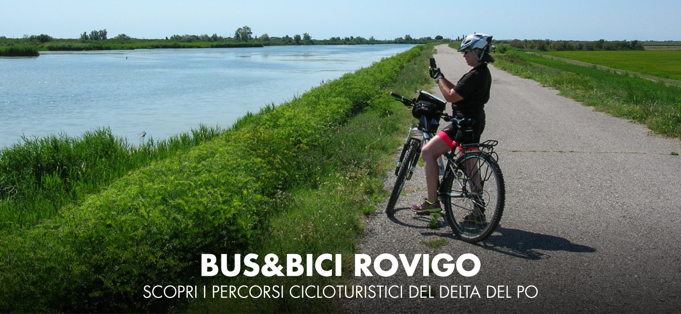 Bus&Bici Rovigo, il nuovo servizio per spostarsi sul territorio del Delta del Po