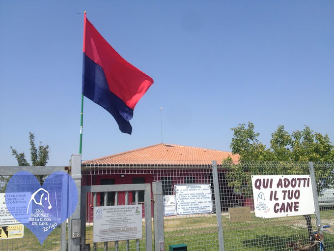 Il Commissario Straordinario Tomao ha visitato il CIPA e il Canile rifugio di Rovigo