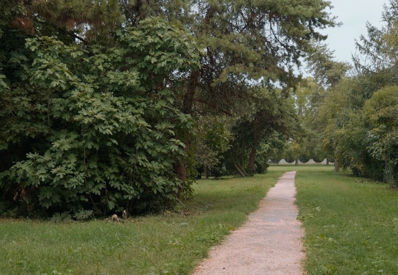 Al Parco Cibotto nuovi camminamenti e riqualificazione degli spazi verdi